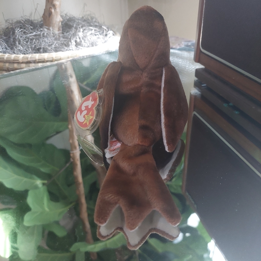 RARE Early the Robin TY Beanie Baby - Collectors find- 1997 - Picture 7 of 11
